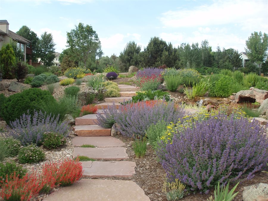 Xeriscaping Ideas Landscaping Network, What Does Xeriscape Landscaping Mean