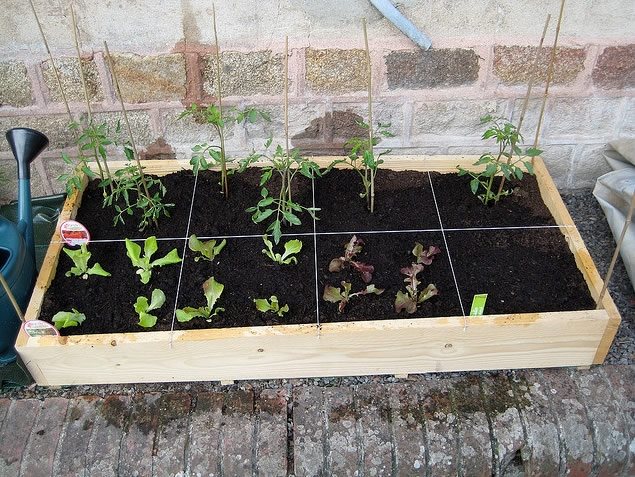 Small Vegetable Garden Ideas, Vegetable Gardening Ideas For Small Spaces