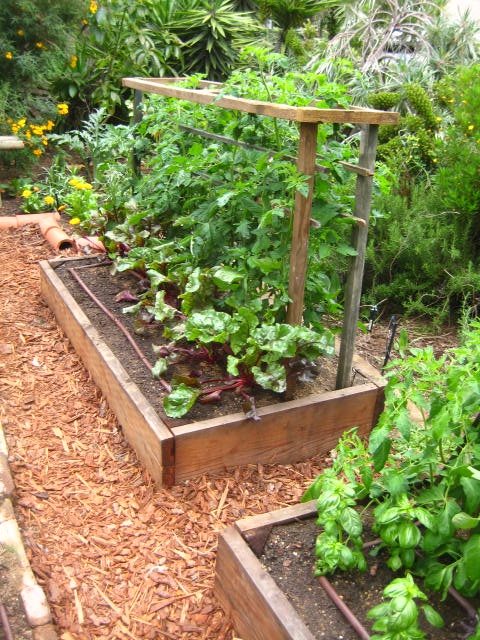 Design Ideas for Vegetable Gardens - Landscaping Network