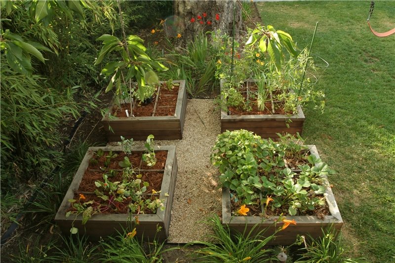 Raised Bed Vegetable Gardening, Raised Landscape Beds