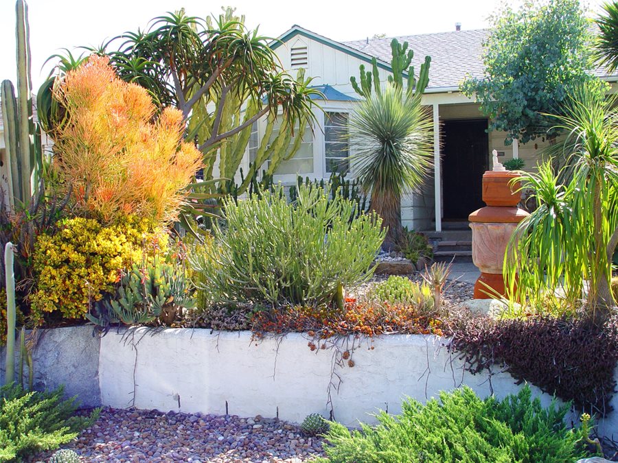 Landscaping With Succulents, Front Yard Landscaping With Rocks And Succulents
