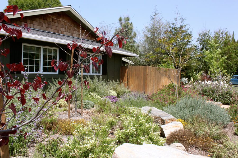 Low Maintenance Front Yard Landscaping, Landscape Ideas For Front Of House Low Maintenance