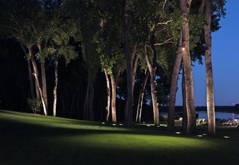 Landscape Lighting Tips Landscaping, How To Put Landscape Lights In Trees