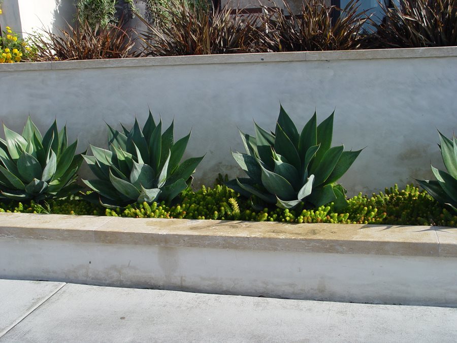 Concrete Retaining Walls How To Build Landscaping Network - Stucco Retaining Wall Diy