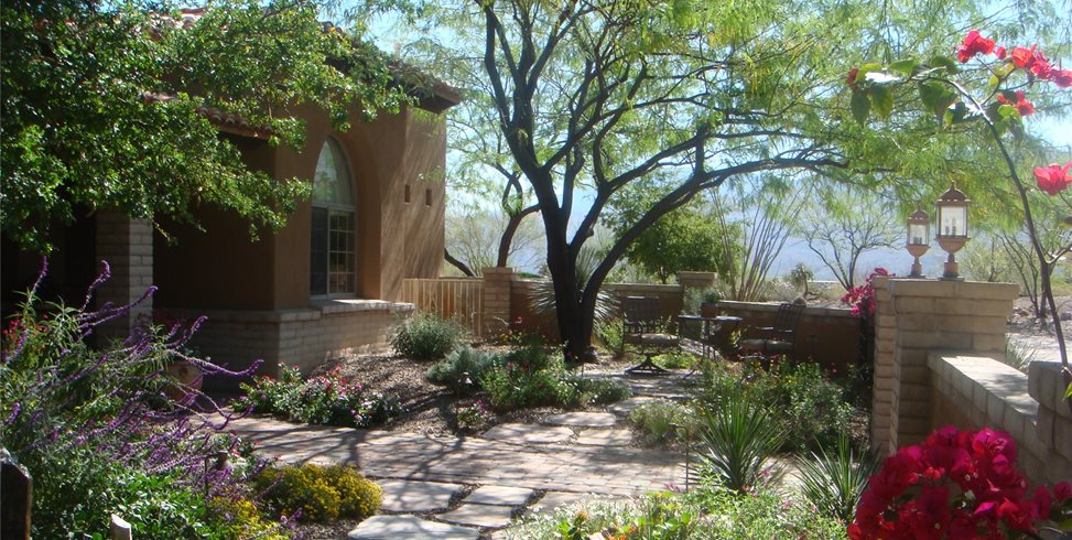 Desert Landscaping Ideas, Phoenix Landscape Design Ideas