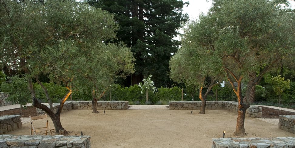 宽敞的后院设计后院绿色景观建筑的景观景观，加利福尼亚州索萨利托