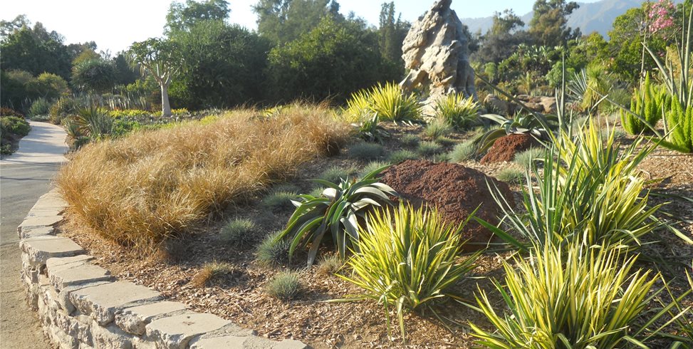 Planting Design
Landscaping Network
Calimesa, CA
