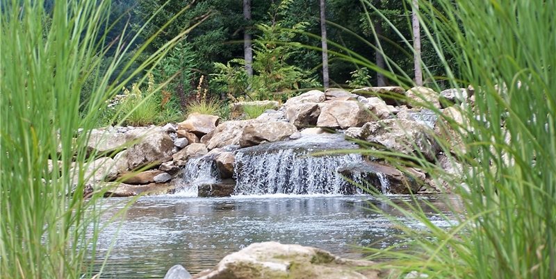 天然池塘设计，瀑布设计游泳池伍迪的定制兰迪普林林业公司
