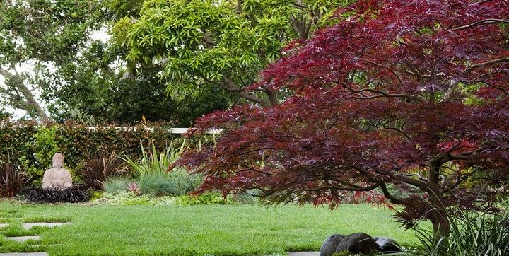 Asian Garden, Buddha, Japanese Maple
Asian Landscaping
Shepard Design Landscape Architecture
Greenbrae, CA