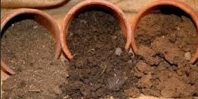clay soil landscaping