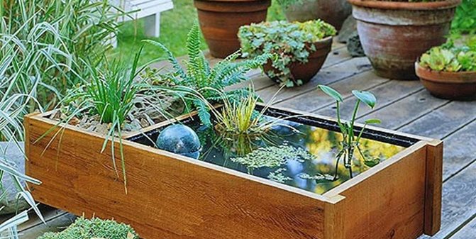 Container Water Gardens For Small, Patio Water Garden Containers