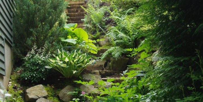 本地植物，质朴的台阶，岩石，常绿的格雷格和埃利斯景观设计波特兰或