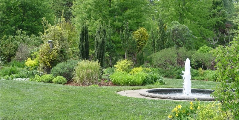 Large Yard Planting Plan Landscaping, How To Landscape A Large Yard