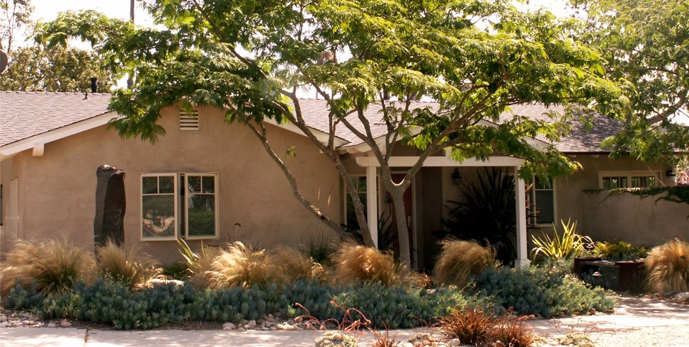 Front Yard With Plants And Tree
Garden Design
Grace Design Associates
Santa Barbara, CA