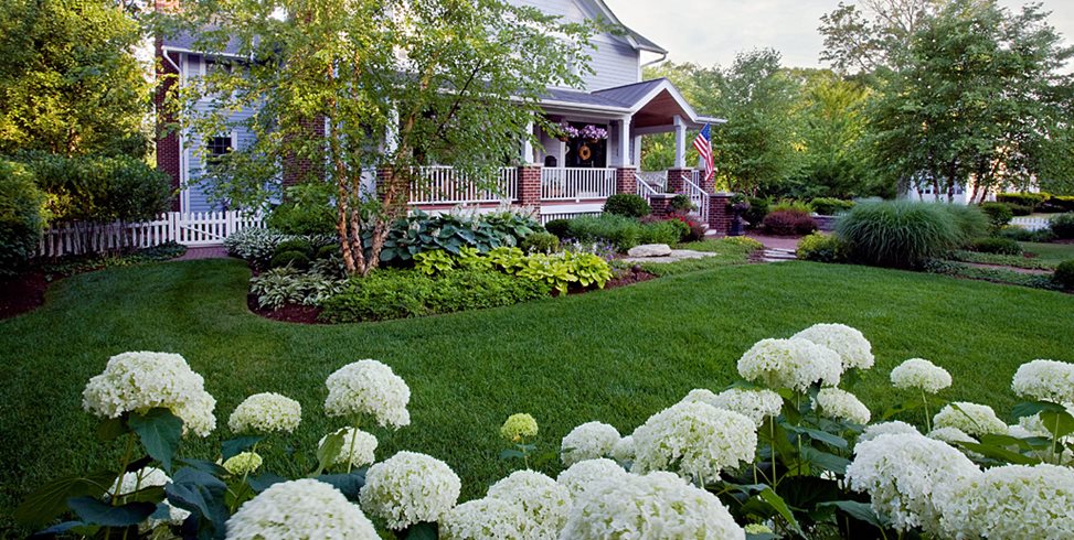 18新利足球前院草坪，前院种植床前院园林绿化赠款和电力美化西芝加哥，伊利诺伊州